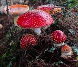 Όλα τα ζώδια 18/02