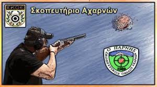 "Αν οι μισές σφαίρες που έπεφταν στην Κρήτη πήγαιναν εκεί θα είχαμε Ολυμπιονίκες!"