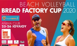 Με την συμμετοχή 80 ομάδων το «Bread Factory Volleynews.gr Cup»