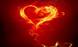 Όλα τα ζώδια 29/12